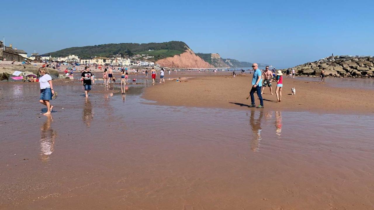 Shippen Cottage - Perfect For Couples Or Families Sidmouth Exteriér fotografie