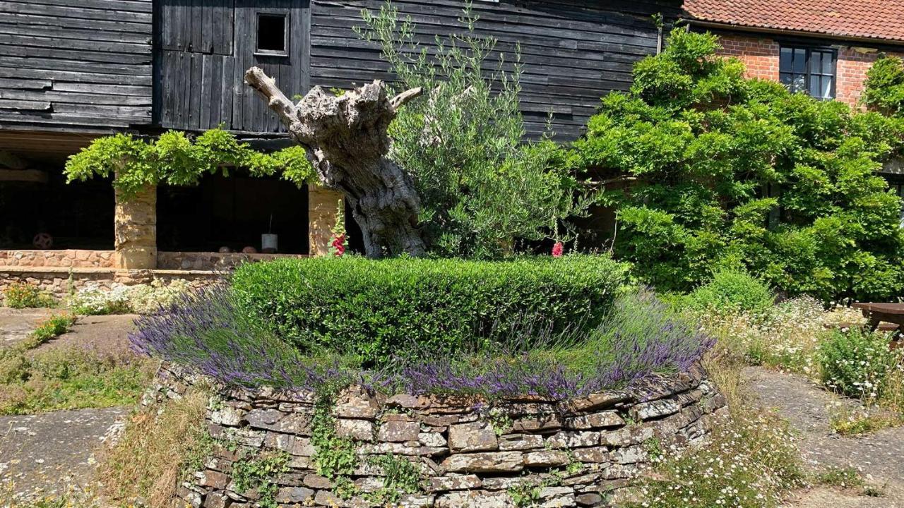 Shippen Cottage - Perfect For Couples Or Families Sidmouth Exteriér fotografie