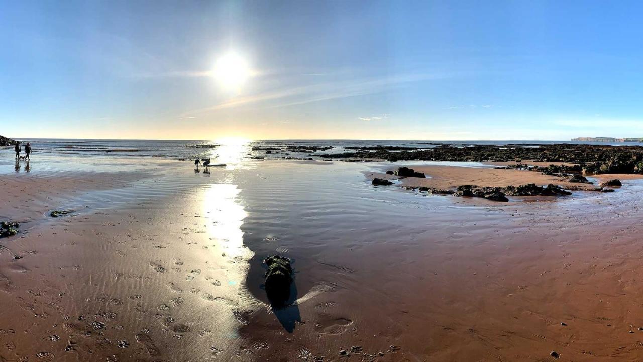 Shippen Cottage - Perfect For Couples Or Families Sidmouth Exteriér fotografie